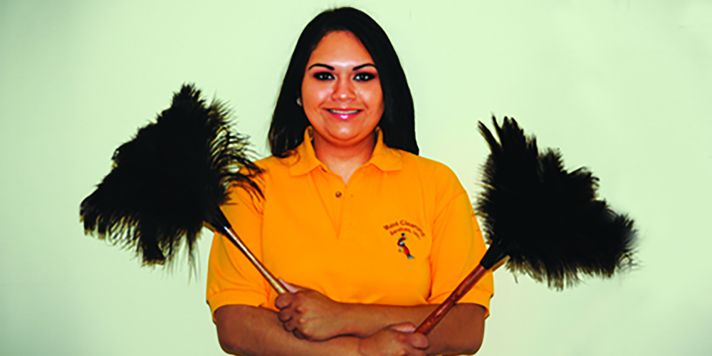 12 Maid Cleaning Services 12 Washington DC